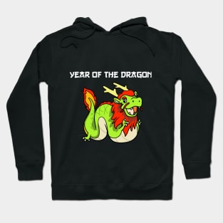 Dragon Zodiac Hoodie